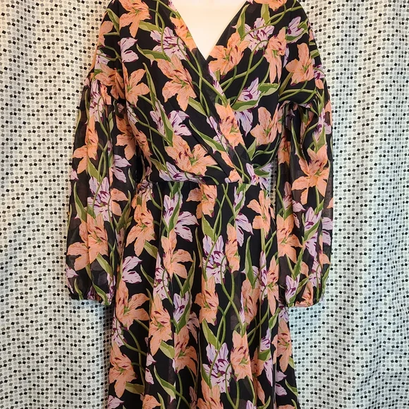 NWT Anthropologie Aryessa Long Sleeve Dress Size XSP - Picture 3 of 11